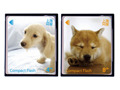 エバーグリーン、子犬の写真をラベルにした266倍速コンパクトフラッシュ 画像