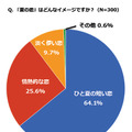 「ひと夏の恋」に関する調査結果（『夏の恋』のイメージ）