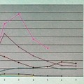 Sasser.Bの感染報告数は全世界で1万超に −シマンテック