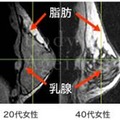 立位状態でのバスト内部