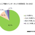 シニア層のインターネット利用状況