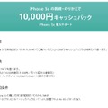 ソフトバンクの「iPhone 5c購入サポート」ページ