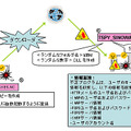 侵入方法およびウイルス活動3