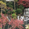 5位「椿山荘 庭園」