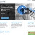 「Syncplicity」サイト
