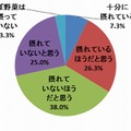 普段の食生活で野菜は十分に摂れていますか