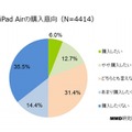 iPad Airの購入意向