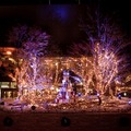 東急プラザ表参道原宿で開催中の「OMOHARA WHITE CHRISTMAS」