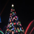 夜のメディテレーニアンハーバーに浮かび上がる巨大クリスマスツリー