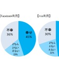 「現在の幸せとSNSの関係」