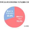 今年(2013年)の年末年始に子供を連れての帰省予定