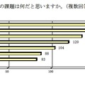 セカンドライフの課題