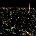 大村雪乃によるインスタレーション「Beautiful Midnight」
