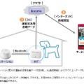 健康関連データの取得時