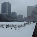 雪の東京（日比谷公園、2月14日昼）