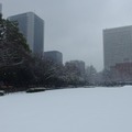 雪の東京（日比谷公園、2月14日昼）