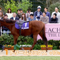 AKB小嶋陽菜のランジェリー姿CM第3弾！　今度は馬と……