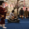 【フォトレポート】北野天満宮で「梅花祭」