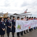 JAL ひなまつりフライト
