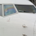 JAL ひなまつりフライト