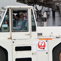 JAL ひなまつりフライト