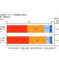 愛猫の健康と飼い主の愛情に関する調査