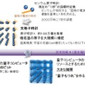 光格子と原子の応用～時計からコンピュータへ～