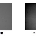 光学部品検査例