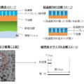 本成果の構造、比較イメージ