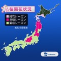 各都道府県における開花実況。4月29日時点