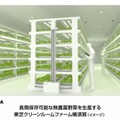 東芝、植物工場での野菜生産を事業化……遊休クリーンルームを活用 画像