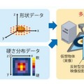 物体の硬さの触感覚伝達システムの模式図