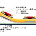 トランジスタの断面構造の模式（パリレン-C：厚さ～1ミクロン）