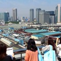 【夏休み】子ども達が”市場”を学ぶ『TOKYO ICHIBUSセミナー』 画像