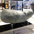 小惑星イトカワの1/1000モデル