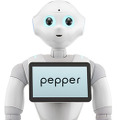 Pepper