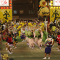 徳島の阿波踊り（c）Getty Images