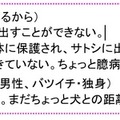 「マル」の声を担当する綿引さやか