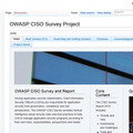 OWASP CISO Survey Project