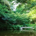 池田山公園（徒歩9分、約670m）