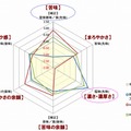 分析結果のレーダーチャート