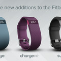 液晶を搭載した「Fitbit Surge」（右）などリストバンド型活動量計3機種