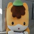 ぐんまちゃんが悲願のゆるキャラグランプリ　5日に群馬県庁で優勝報告会