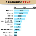 今年の年末年始の予定は？ 複数回答