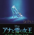 『アナと雪の女王／エルサのサプライズ』