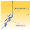 模式的に示した磁気モーメントと新規電気分極成分の関係