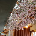 桜で装飾されたスターバックスコーヒー「上野恩賜公園店」店内（エントランス）