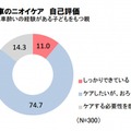 車のニオイケア  自己評価