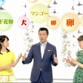 NHKスペシャル「新アレルギー治療～鍵を握る免疫細胞～」