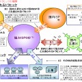 集計されたトラフィックの種類